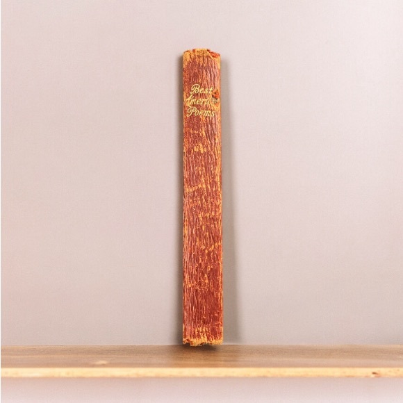 Vintage Best American Poems Book 1905 Selected by John Howard Red Leather Bound - Picture 3 of 10